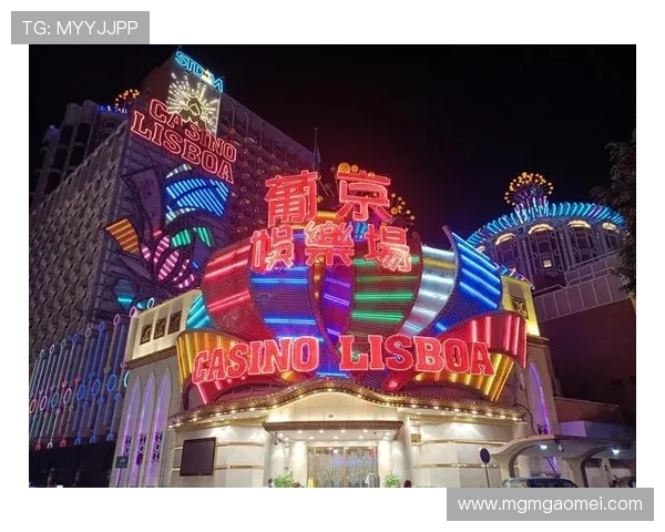 伊人网澳门赌场VIP专属福利介绍尊享尊贵服务体验非凡娱乐