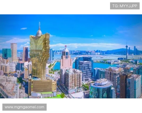 澳门博彩控股有限公司：引领澳门博彩业发展的龙头企业，推动区域经济繁荣的核心力量