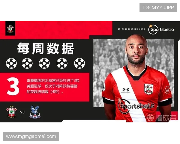 水晶宫足球队队员官网帮助球迷快速查找队员个人资料和比赛统计数据