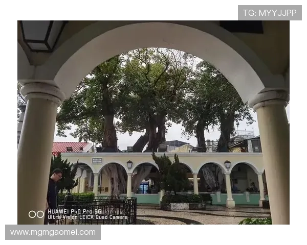 澳门总统在线登录入口常见问题解答，解决登录过程中遇到的各种技术难题