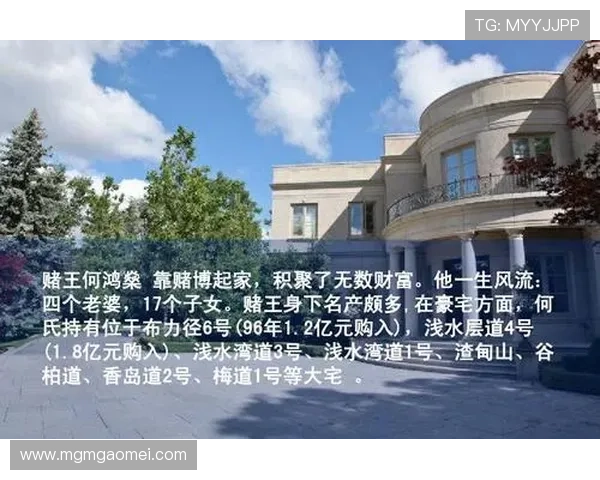 澳门彩真人手机版全面介绍，丰富的游戏种类和专业的技术保障让你尽情娱乐无忧