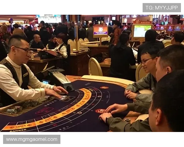 澳门赌场都有哪些高风险高回报的玩法适合追求刺激的玩家尝试指南 澳门赌场都有哪些高风险高回报的玩法适合追求刺激的玩家尝试指南