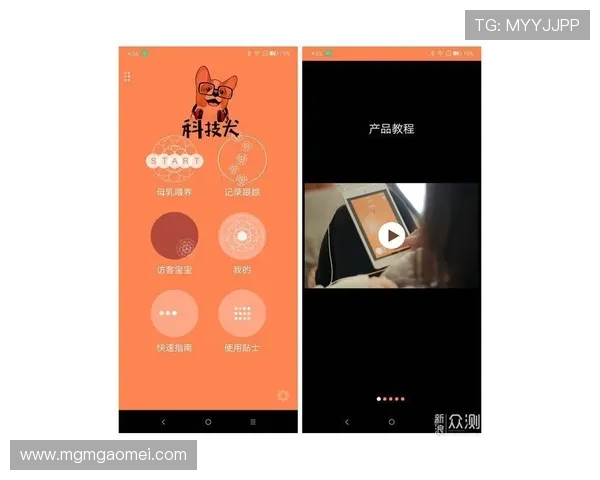 英皇网娱乐app全面介绍及使用指南，帮助新手快速上手畅玩精彩游戏